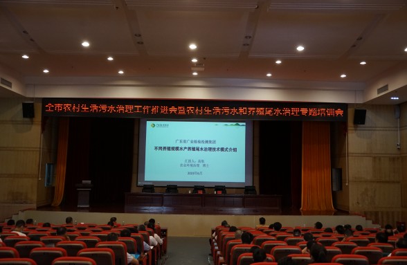 海洋牧場(chǎng)，生態(tài)先行，省環(huán)保基金會(huì)助力陽江建設(shè)海洋牧場(chǎng)