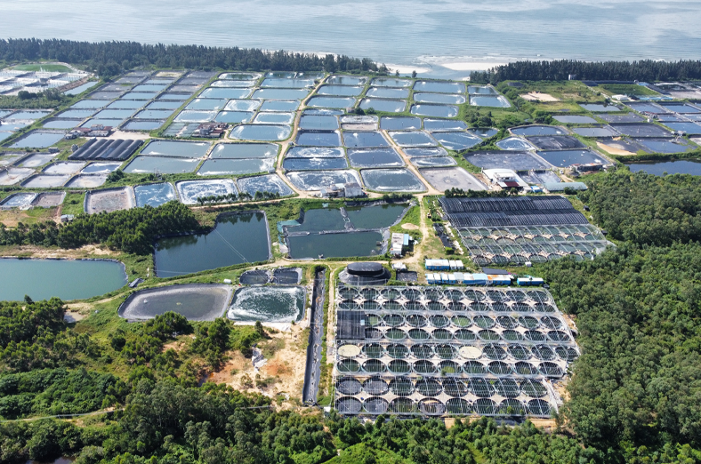 項目的設計和施工圖預算編制工作，包括138座陸基養(yǎng)殖池和3個高位池，設計尾水處理規(guī)模4000m3/d，助力陽西縣海水魚苗行業(yè)高質(zhì)量發(fā)展，為綠色漁業(yè)發(fā)展提供技術支撐