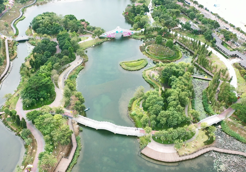 重建水下生態(tài)系統(tǒng)，提升水體自凈能力